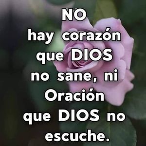 Meet your Posher, Martinez